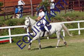 DSCF6826