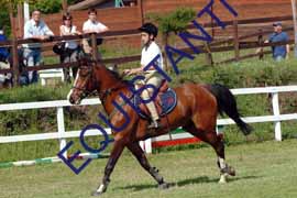 DSCF6849