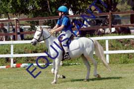 DSCF6860
