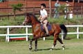 DSCF6789