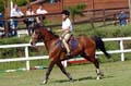 DSCF6849
