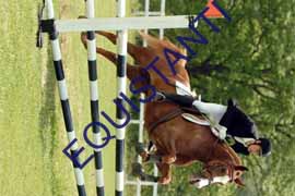 DSCF7183