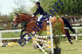 DSCF7185