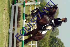 DSCF7192
