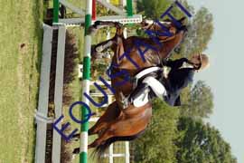 DSCF7198