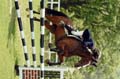 DSCF7201