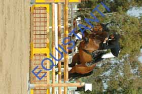 DSCF7495