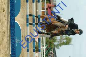 DSCF7704