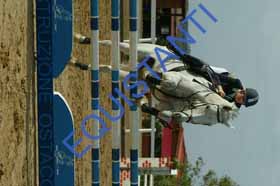 DSCF7738