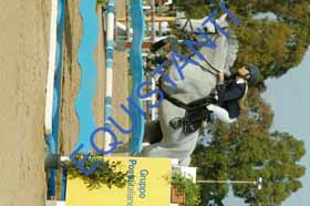 DSCF7739