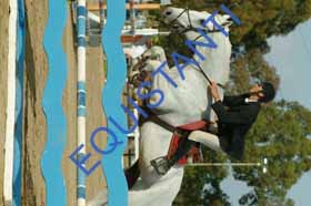 DSCF7749