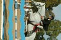 DSCF7749