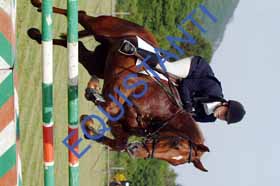DSCF7851