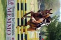 DSCF7895