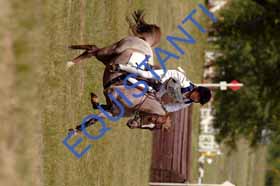 DSCF8741