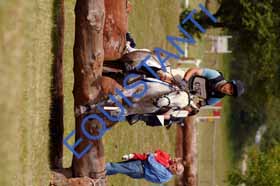 DSCF8748