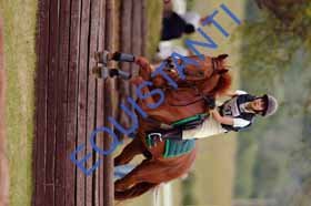 DSCF8777