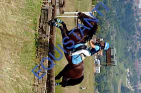 DSCF9244