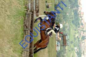 DSCF9262