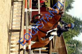DSCF9197