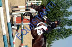 DSCF8981