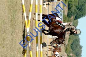 DSCF8938