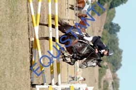 DSCF8942