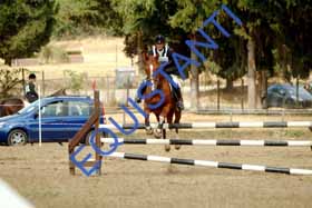 DSCF8976