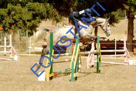 DSCF8983