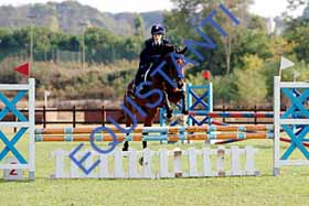 DSCF0169