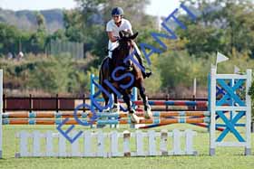 DSCF0174