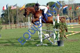 DSCF0240