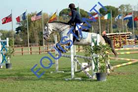 DSCF0343