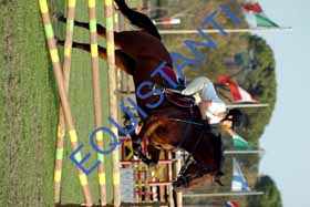 DSCF0414