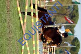 DSCF0436