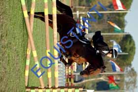 DSCF0441