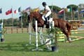 DSCF0260