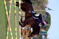 DSCF0266