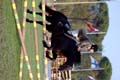 DSCF0419