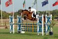 DSCF0457