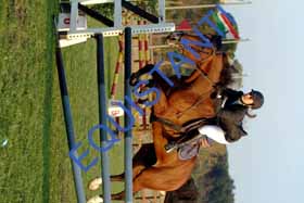 DSCF0528