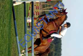 DSCF0541