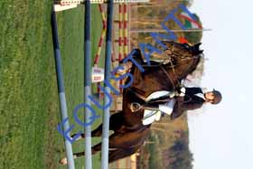DSCF0584