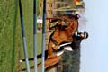 DSCF0520