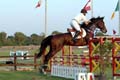 DSCF0547