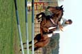 DSCF0549