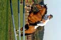 DSCF0555