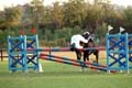 DSCF0575