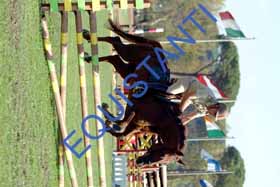 DSCF0034
