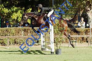 DSCF0649